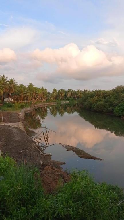 Shruthi'S Aarohi-Nature'S Retreat Homestay Kannur Exterior foto