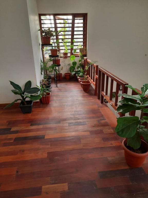 Shruthi'S Aarohi-Nature'S Retreat Homestay Kannur Exterior foto